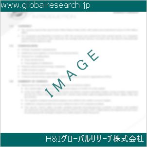 グローバルリサーチ調査資料のイメージ